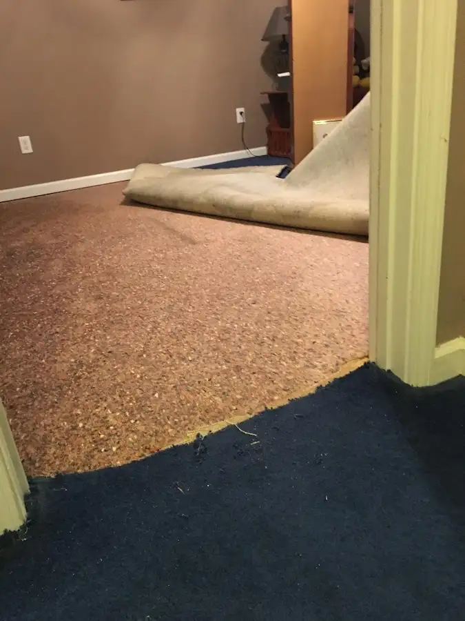 Carpet pad removal revealing water damage during Water Mitigation Services in Middlesex